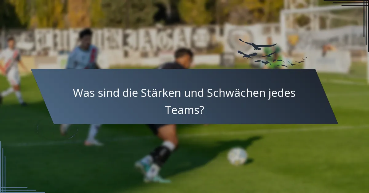 Was sind die Stärken und Schwächen jedes Teams?