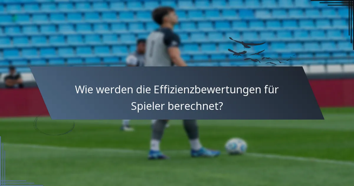 Wie werden die Effizienzbewertungen für Spieler berechnet?